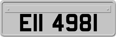 EII4981