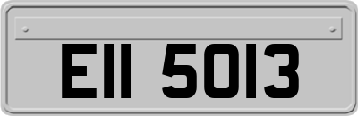 EII5013