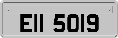 EII5019