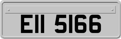 EII5166
