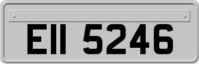 EII5246