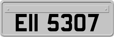 EII5307