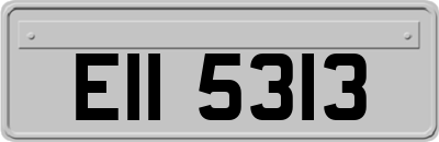 EII5313