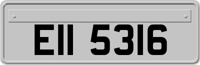 EII5316