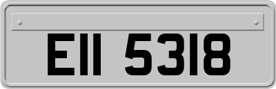 EII5318