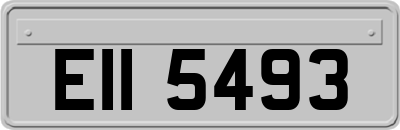 EII5493