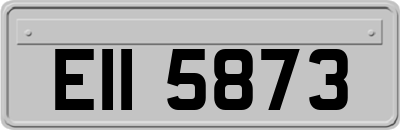 EII5873