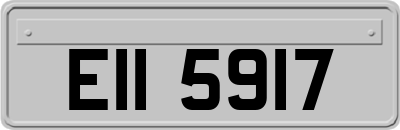 EII5917