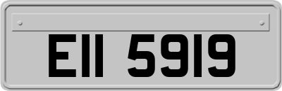 EII5919