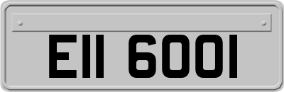 EII6001