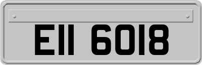 EII6018
