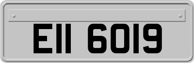 EII6019