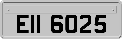 EII6025
