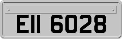 EII6028