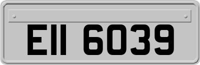 EII6039