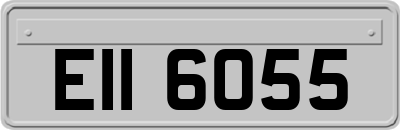 EII6055