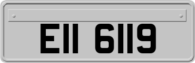 EII6119