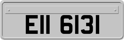 EII6131