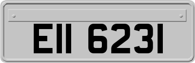 EII6231