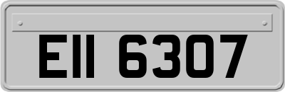 EII6307