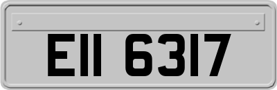 EII6317