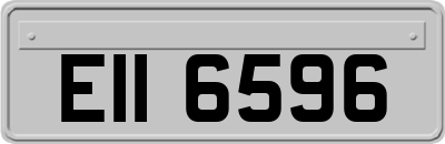 EII6596