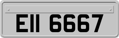EII6667