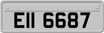 EII6687