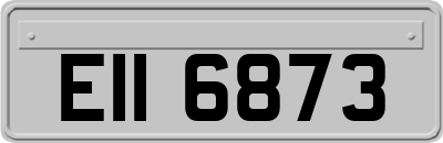 EII6873