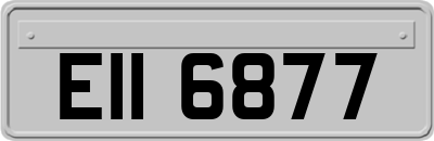 EII6877