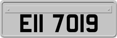 EII7019