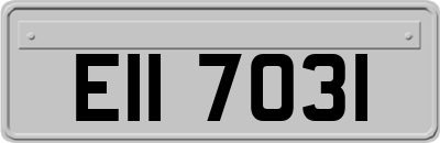 EII7031