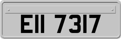 EII7317