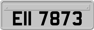 EII7873