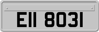 EII8031
