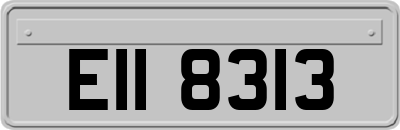 EII8313