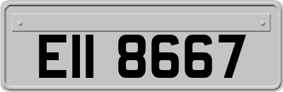 EII8667