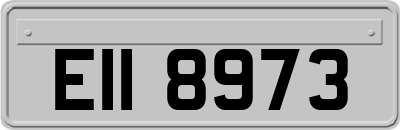 EII8973