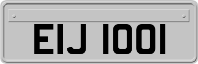 EIJ1001