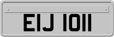 EIJ1011