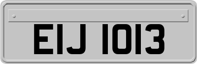 EIJ1013