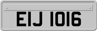 EIJ1016