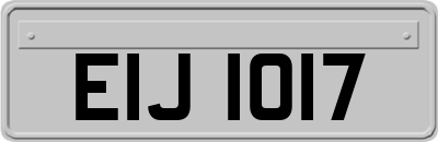EIJ1017