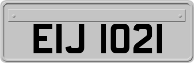 EIJ1021