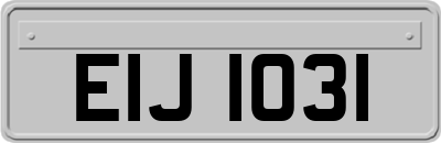 EIJ1031