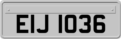 EIJ1036
