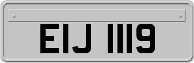 EIJ1119