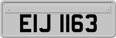 EIJ1163