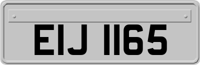 EIJ1165