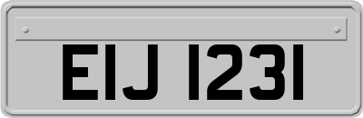 EIJ1231